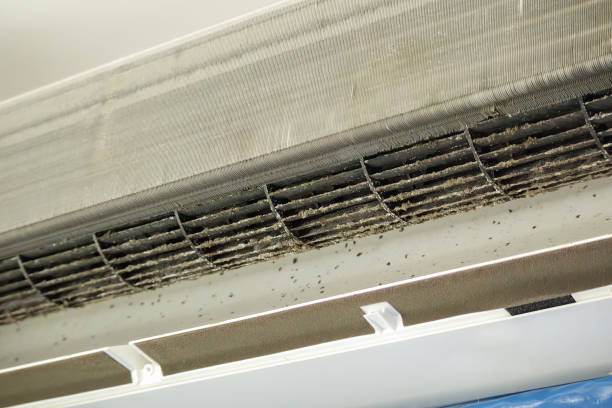 Best Air Vent Cleaning Services  in Allen Park, MI